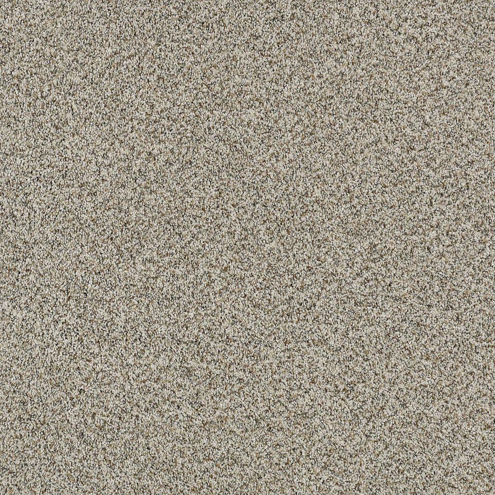 Texture Heritage Beige/Tan Carpet