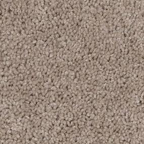 Texture Hercules Brown Carpet