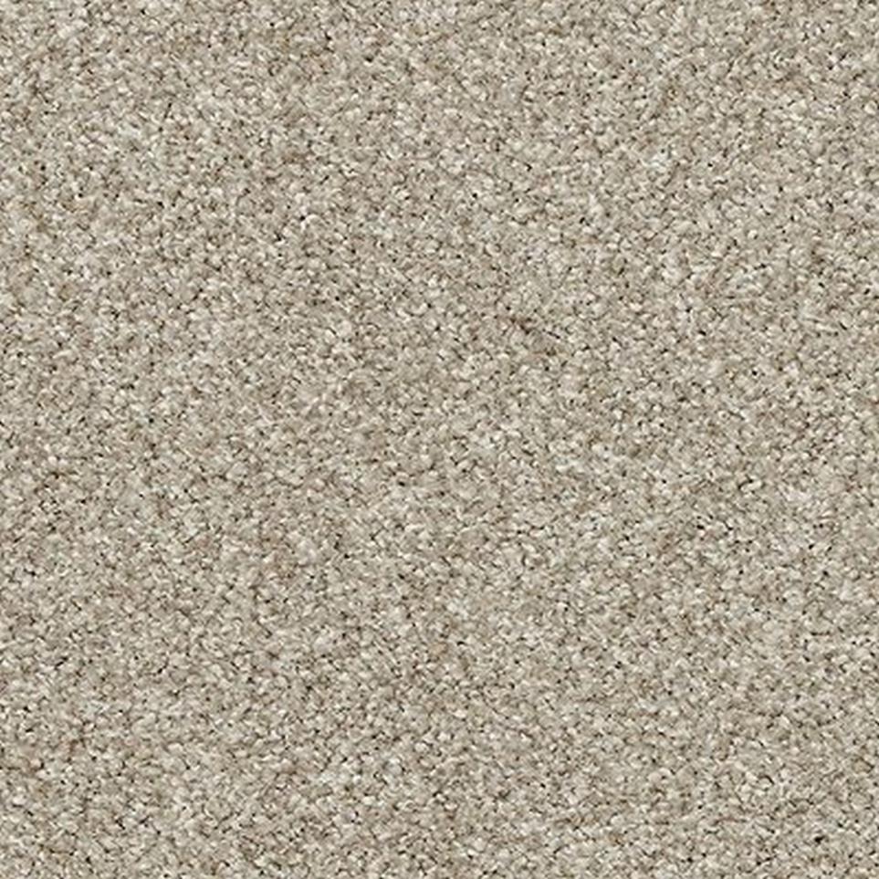 Texture Cosmos Gray Carpet