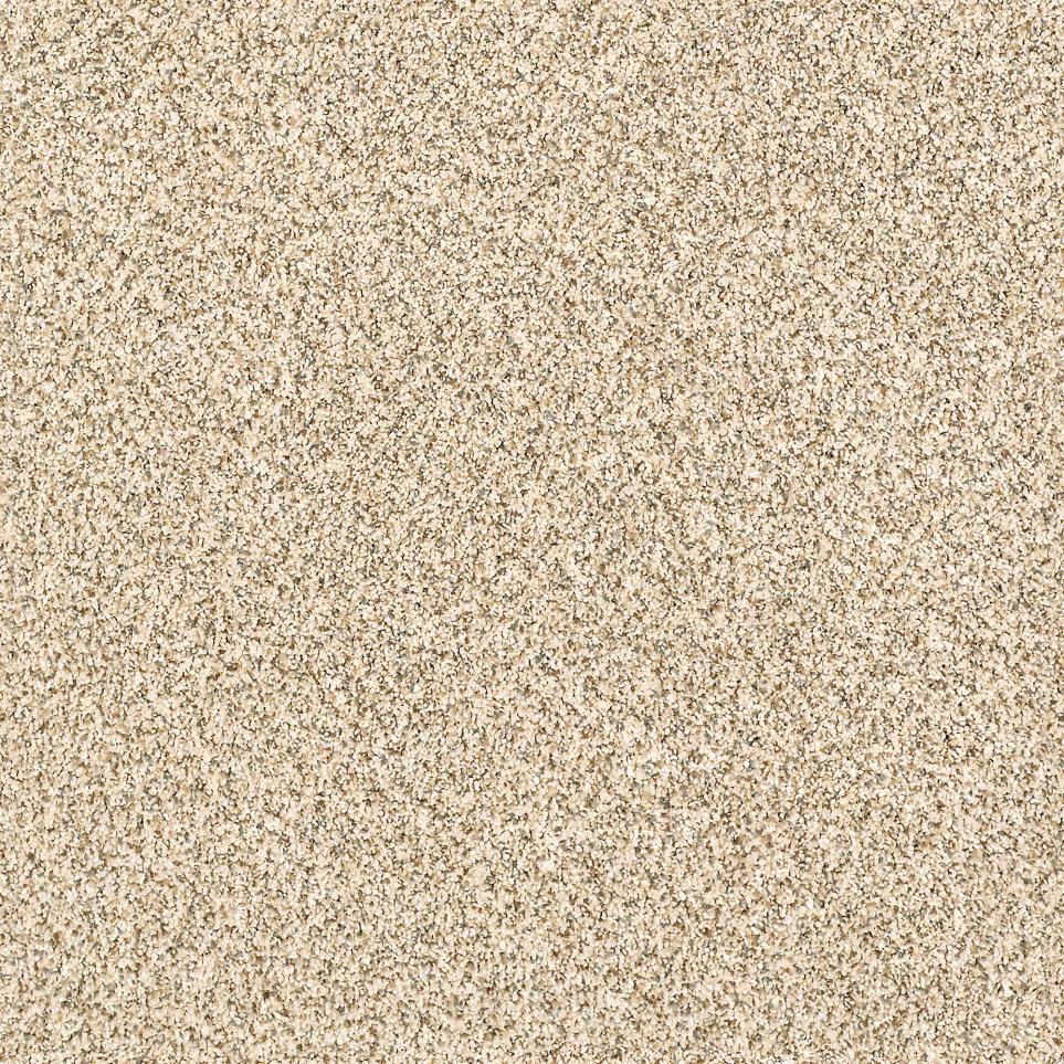 Texture Horizon Beige/Tan Carpet