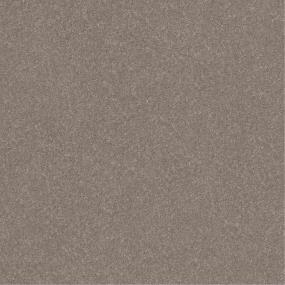 Plush Saxony Deer Valley Beige/Tan Carpet