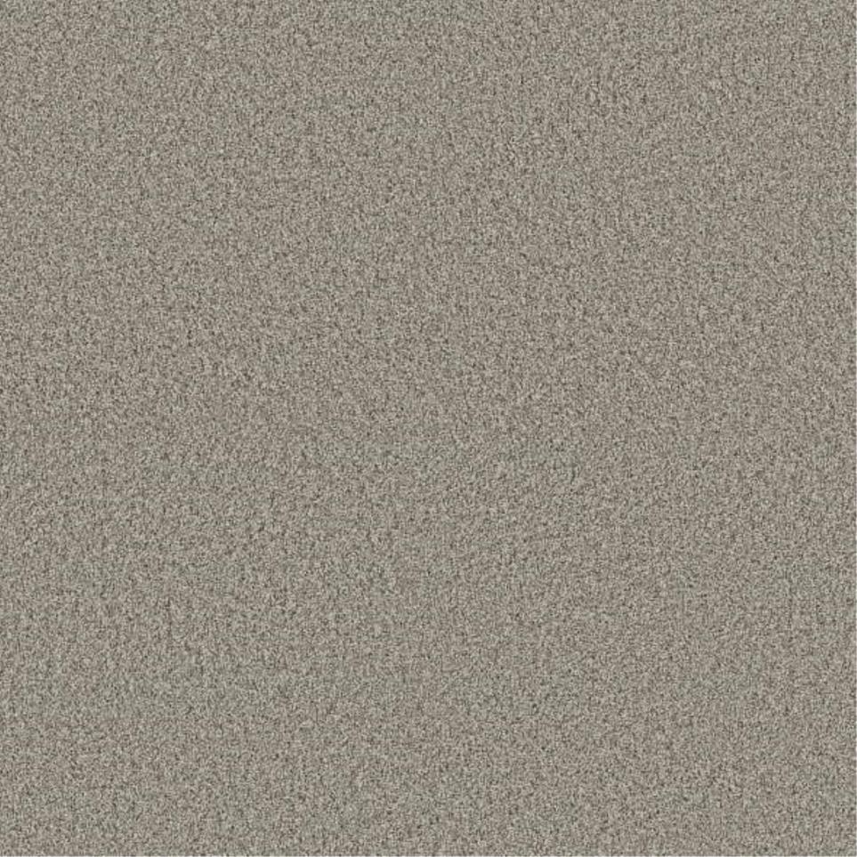 Plush Saxony Classic Buff Brown Carpet