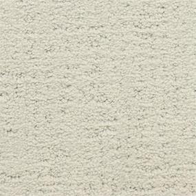 Pattern Isla Vista Beige/Tan Carpet