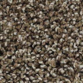 Textured Saxony Lush Suede Brown Carpet