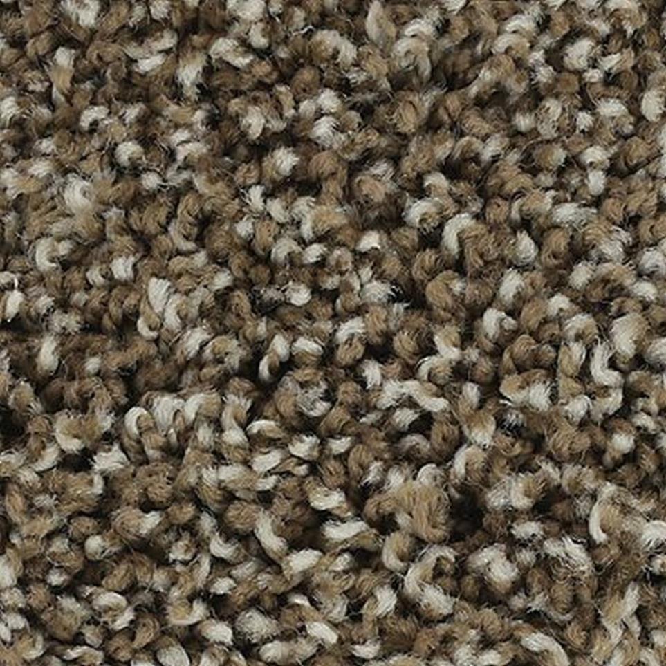 Textured Saxony Lush Suede Brown Carpet