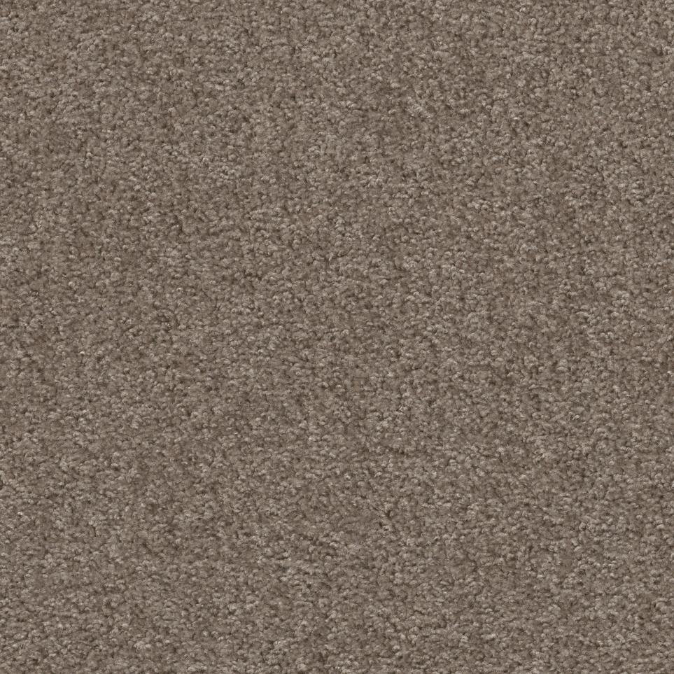 Texture Rodeo Brown Carpet