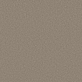 Textured Saxony Ancient Beige/Tan Carpet