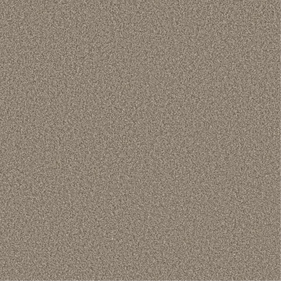 Textured Saxony Ancient Beige/Tan Carpet