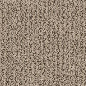 Loop Coachman Brown Carpet