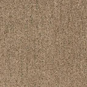 Textured Saxony Walking Trail Brown Carpet