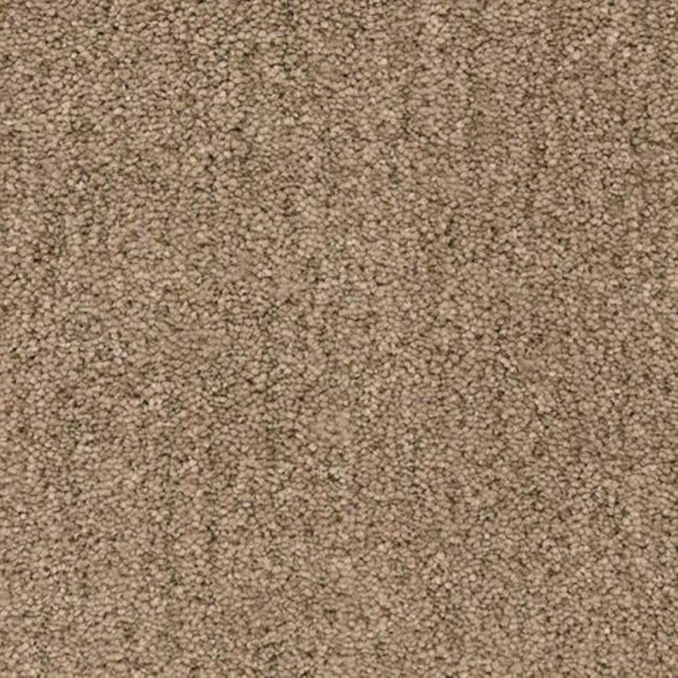 Textured Saxony Walking Trail Brown Carpet
