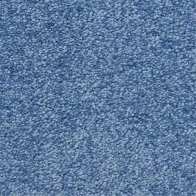 Casual Texture Polo Blue Carpet