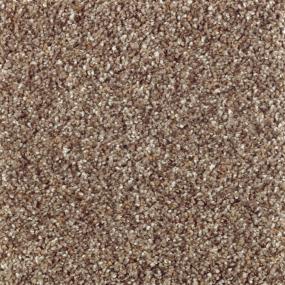 Textured Saxony Island Taupe Brown Carpet