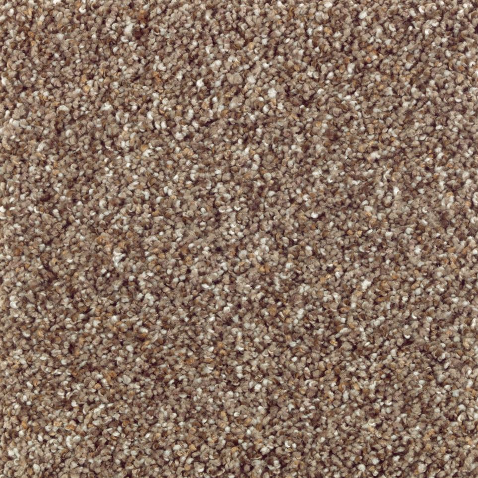 Texture Island Taupe Brown Carpet