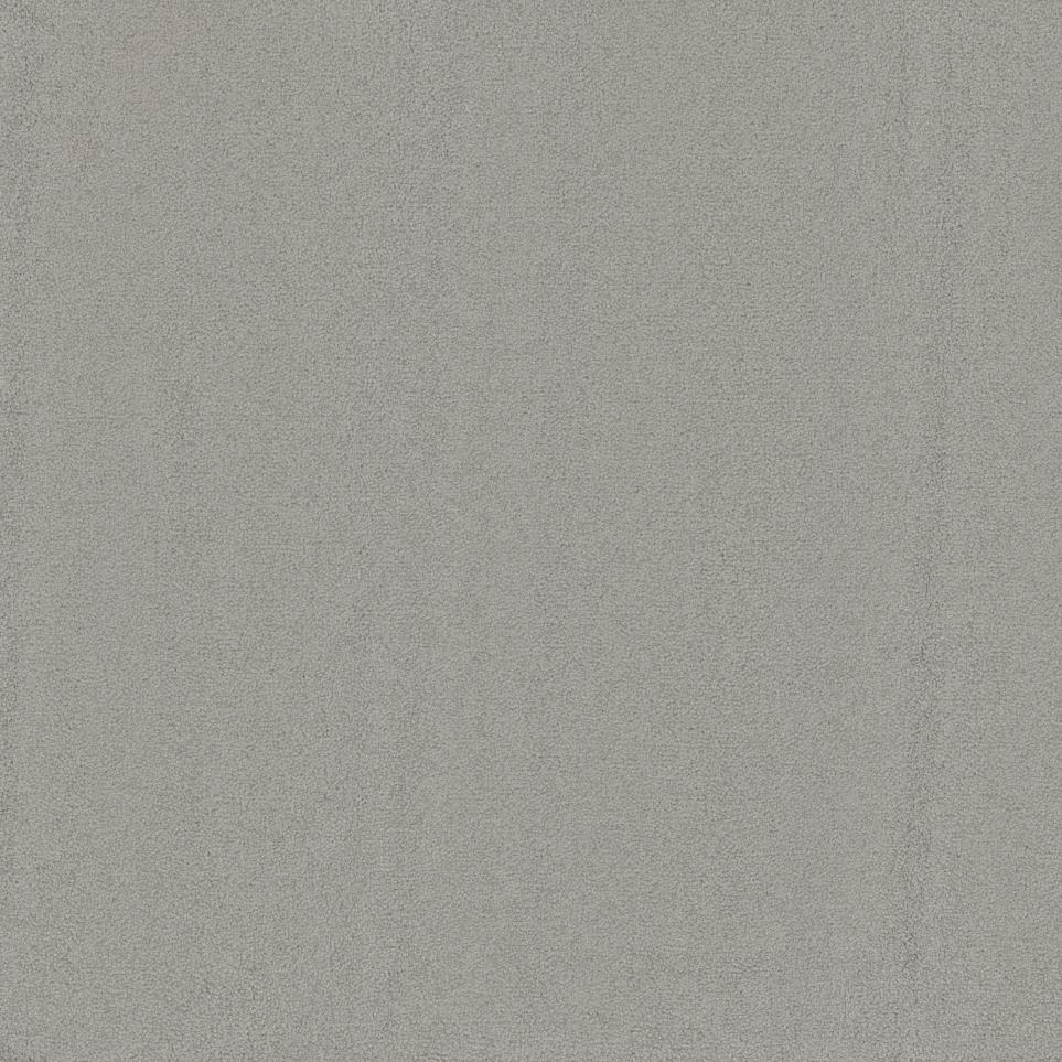 Casual Texture Driftwood Gray Carpet