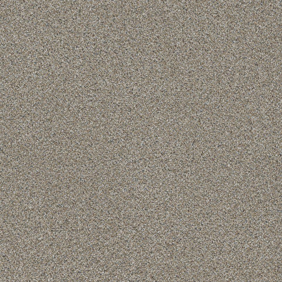 Textured Saxony Elevated Gray Carpet