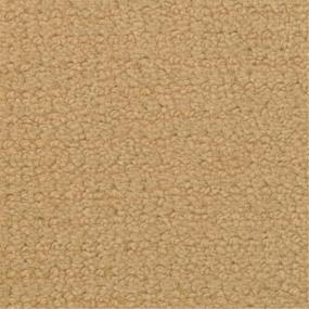 Pattern Bit-O-Honey Yellow Carpet