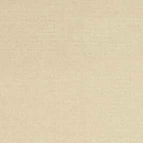 Pattern Arctic Beige/Tan Carpet