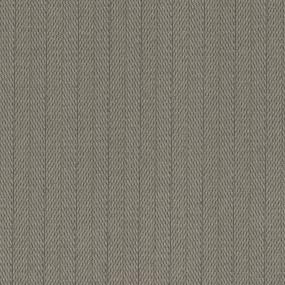 Loop Harbor Clay Beige/Tan Carpet