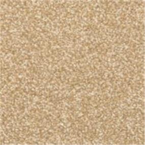 Casual Texture Camellia Beige/Tan Carpet