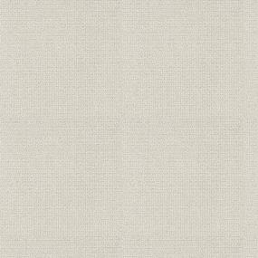 Pattern Oatmeal Beige/Tan Carpet