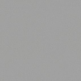 Texture Titan Gray Carpet
