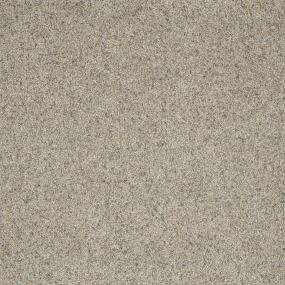 Textured Saxony Versatile Beige/Tan Carpet