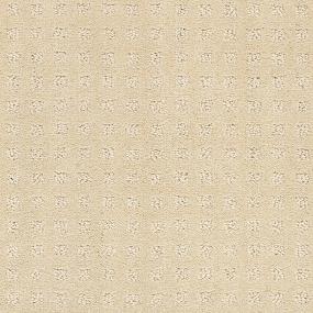 Pattern Desert Sand Beige/Tan Carpet