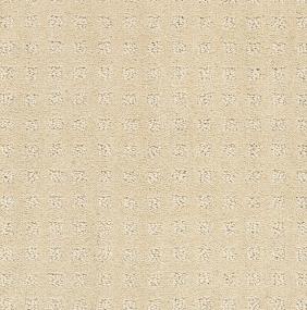 Pattern Desert Sand Beige/Tan Carpet