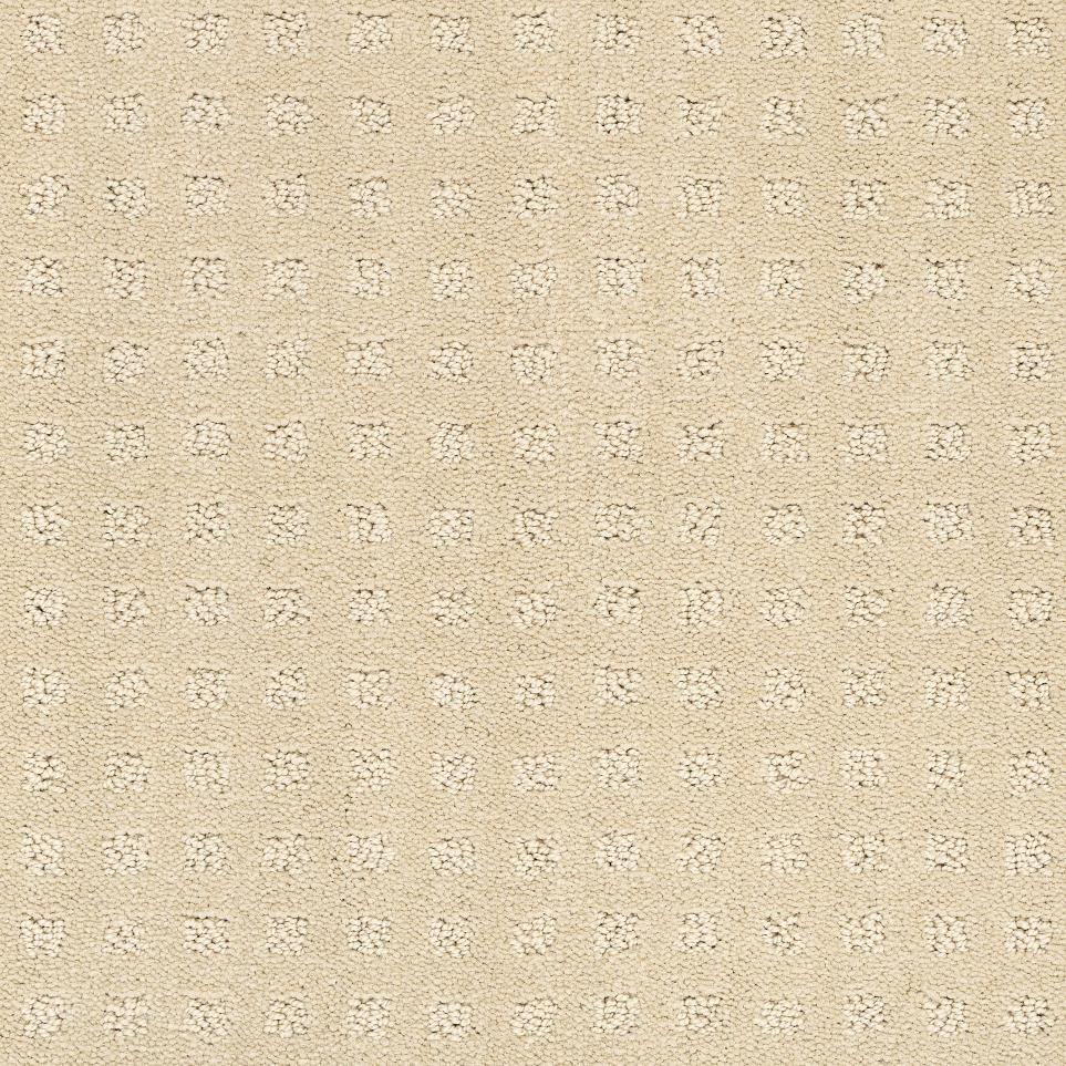 Pattern Desert Sand Beige/Tan Carpet