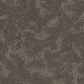 Pattern Tasseled Taupe Brown Carpet