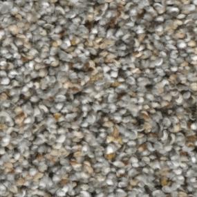 Textured Saxony Campus Gray Carpet