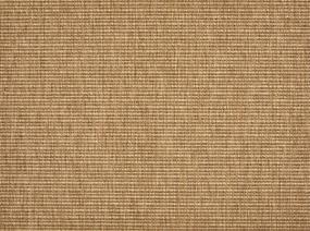 Pattern Saddle Beige/Tan Carpet