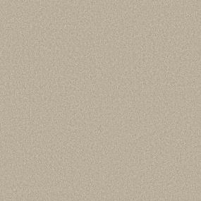 Texture Nutria Beige/Tan Carpet