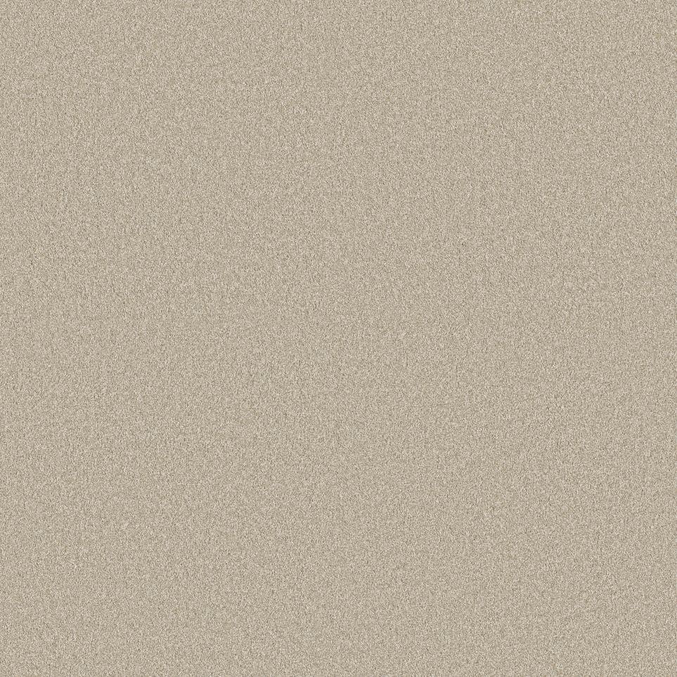 Texture Nutria Beige/Tan Carpet