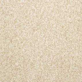 Casual Texture Portico Beige/Tan Carpet