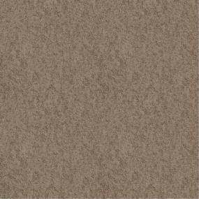 Textured Saxony Weathered Wood Beige/Tan Carpet