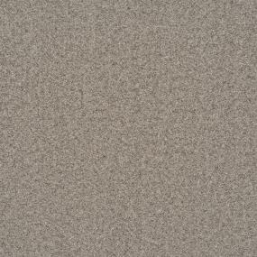 Textured Saxony Grey Tweed Beige/Tan Carpet