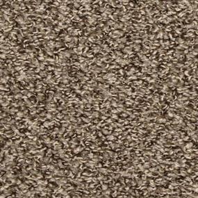 Textured Saxony Swift Brown Carpet