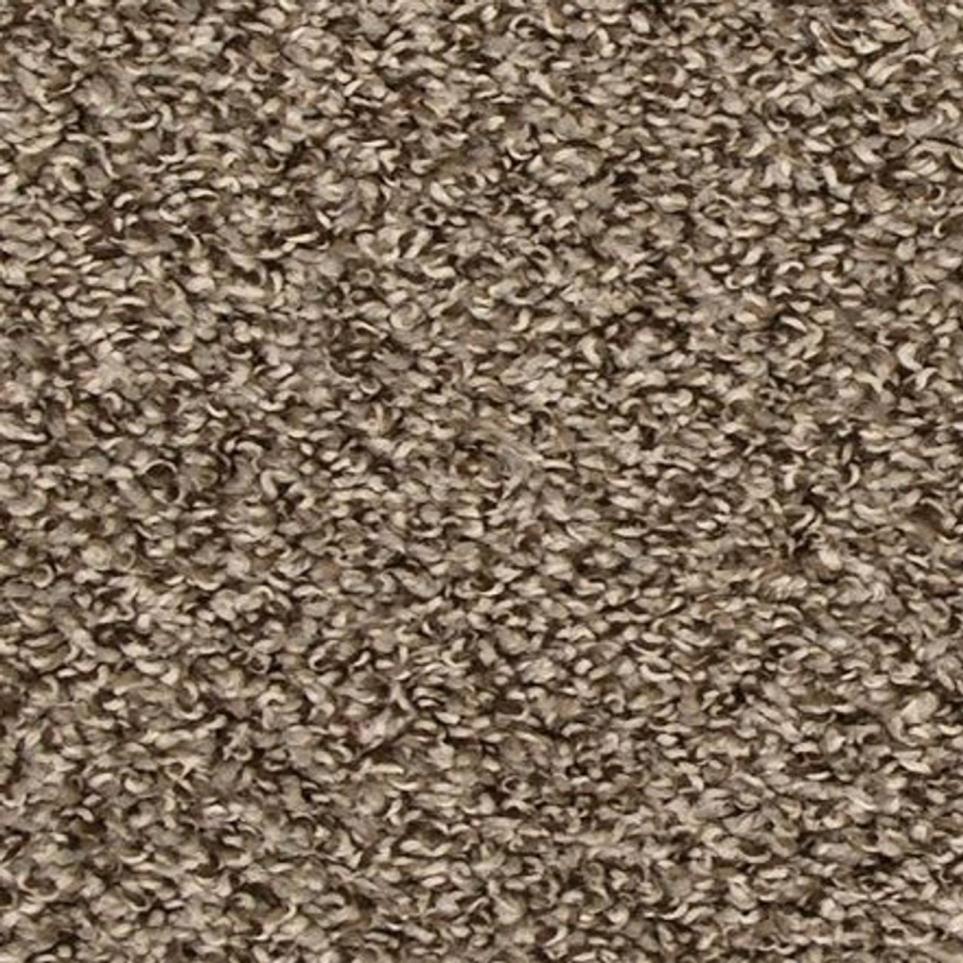 Textured Saxony Swift Brown Carpet