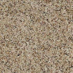 Textured Saxony Renoir Bisque Beige/Tan Carpet