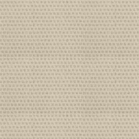 Pattern Winslow Pier White Carpet