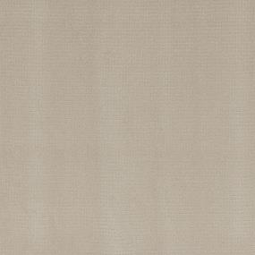 Pattern Coconut Beige/Tan Carpet