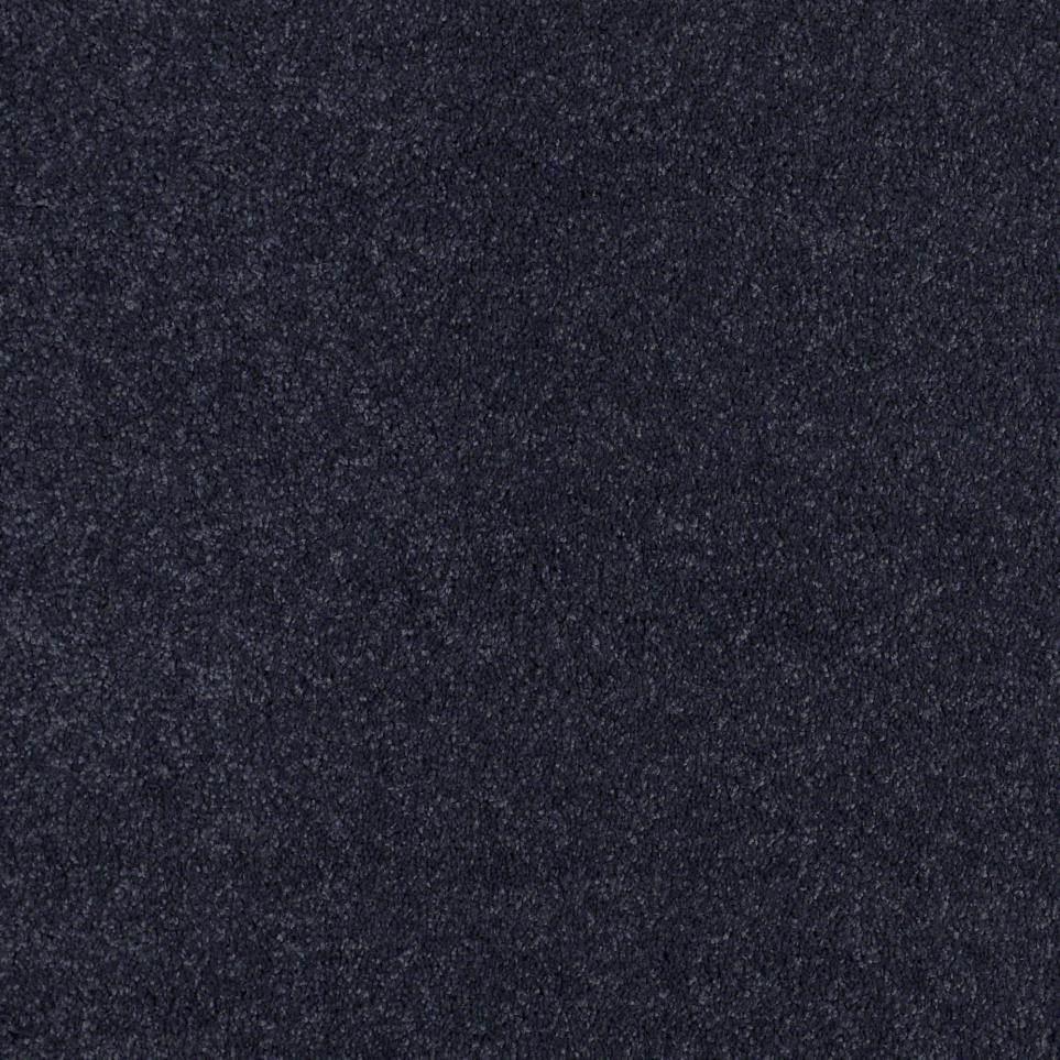 Texture Navy Blue Carpet