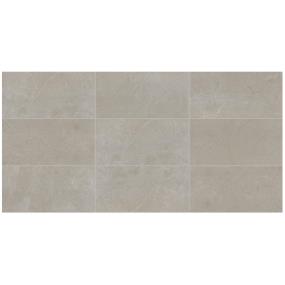 Tile Coliseum Gray Matte Gray Tile
