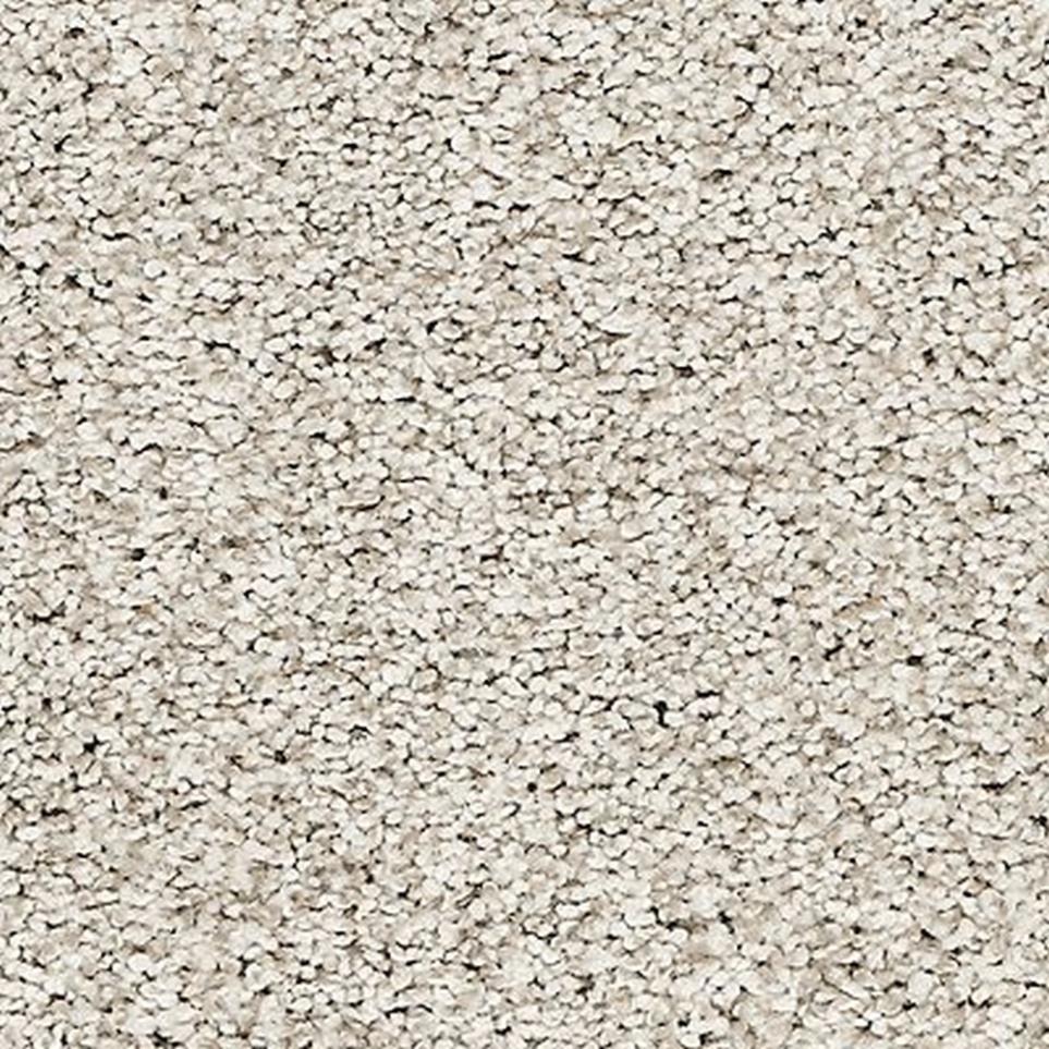 Textured Saxony Haven Beige/Tan Carpet