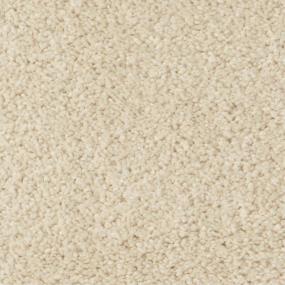 Casual Texture Pearl Essence Beige/Tan Carpet
