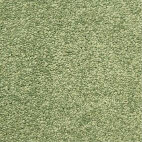 Casual Texture Pine Grove Green Carpet