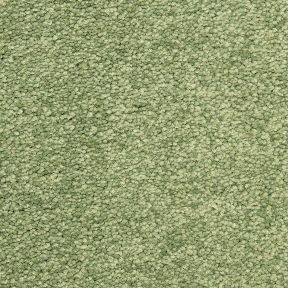 Casual Texture Pine Grove Green Carpet