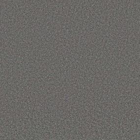 Textured Saxony Charcoal Gray Carpet